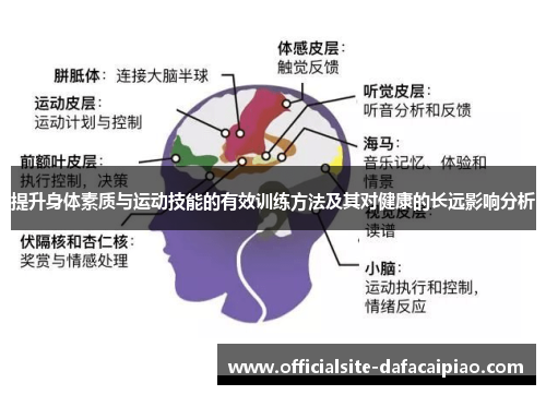 提升身体素质与运动技能的有效训练方法及其对健康的长远影响分析